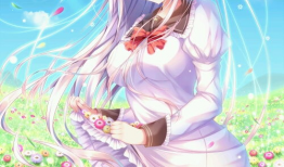 二次元动漫美女,穿越次元，邂逅心动瞬间